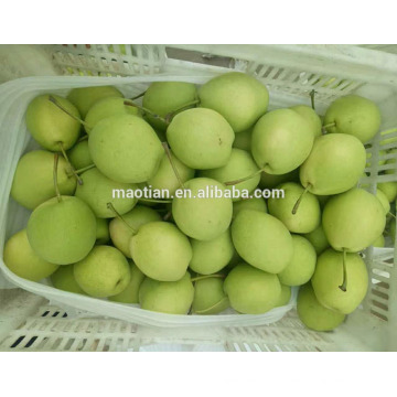 Year 2017 Shandong Pears